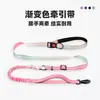 Correa Personalizada para Perro con Degradado de Colores, Elástica y Retráctil, Especial para Pasear Perros al Aire Libre, Accesorios para Mascotas para Perros Pequeños