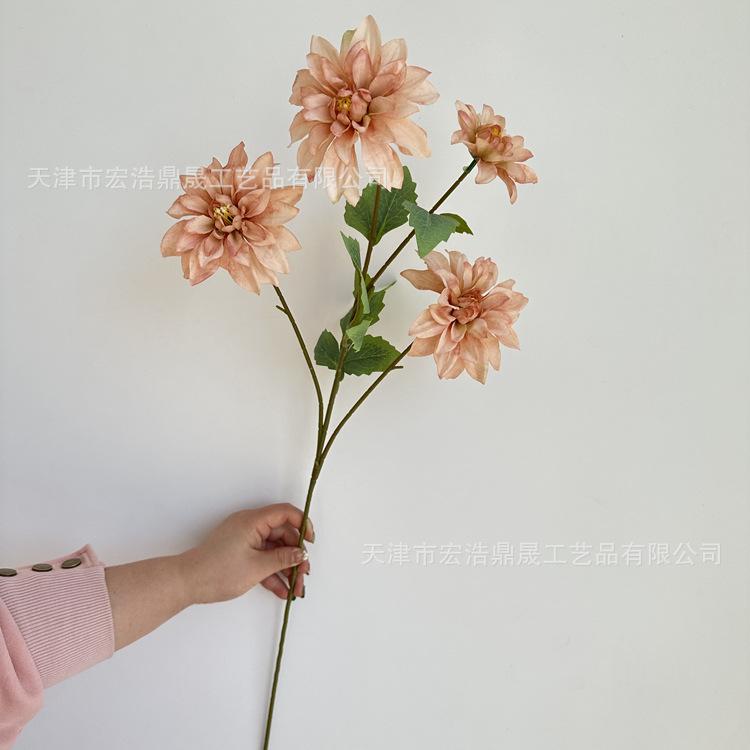 微信图片_202303271336513_副本