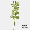 Orquídea Phalaenopsis Simulada Verde Jardín Monet Planta Verde Flor Artificial Película de Orquídea Impresa en 3D Flor Artificial Cymbidium Phalaenopsis