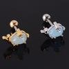 Pendientes de Zirconia Incrustada en Cobre 20g Dientes Exteriores Estrella de Mar Cangrejo Animal Personalizado Clavo para Cartílago de la Oreja Varilla Fina de Acero Inoxidable Pendientes Roscados