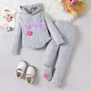 Amazon Europeo y Americano Otoño Nuevo Traje Casual Gris con Capucha de Manga Larga Traje de Pantalones Estilo Deportivo Ropa para Niñas y Niños