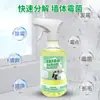 Removedor de Mofo de Parede Personalizado 500ml para Paredes, Madeira, Azulejos de Banheiro e Papel de Parede, Disponível para Dropshipping