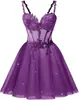 Estilo Nuevo 2026 Elegante Ceñidor de Cintura Sin Tirantes Malla Fiesta de Cumpleaños Dama de Honor Vestido de Noche para Mujeres, Suministro Transfronterizo