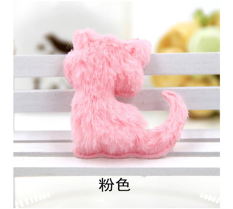 长绒毛猫_05.jpg