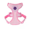 Guia de Cachorro para Cães Pequenos, Teddy, Bichon, Spitz Alemão, Coleira Peitoral, Guia para Passeio de Filhote, Corrente para Cachorro
