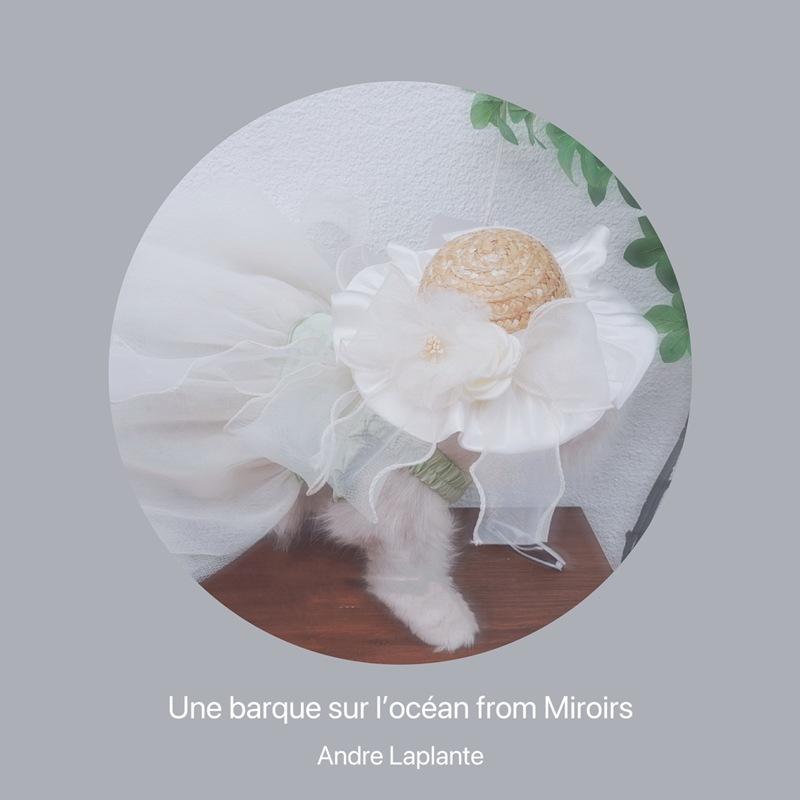 IMG_6356(20230316-210510)_副本