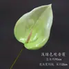 Flor de Simulación Verde Decoración Auditorio de Bodas Material de Flores para Bodas Flor Exterior Planta Verde Belleza Chen Arreglo Sanwei Kwai Mori Ceremonial de Bodas