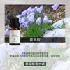 Fabricante de Fuente de Aromaterapia Aceite Esencial de Aromaterapia Soluble en Agua 10 ml Fragancia Vegetal L Difusor Ambientador Máquina de Aromaterapia Aceite Esencial