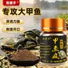 Cebo en Polvo Crazy Powder para Tortugas de Caparazón Blando Alimento para Estanques de Acuicultura Pesca Deportiva Señuelo para Tortugas Tortuga Vieja Atractante para Tortugas Aditivo para Tortugas