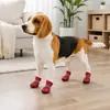 Zapatos para perros cuidadosamente seleccionados para Teddy, Pomerania y perros pequeños, zapatillas deportivas de suela blanda, transpirables, suaves, fáciles de poner, antideslizantes, de malla
