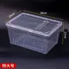 Grande, Mediano y Pequeño Caja Portátil Transparente para Alimentación de Mascotas Tanque para Tortugas Caja de Transporte Plástico Tanque para Peces Dorados Jaula Cerrada para Hámster
