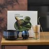 Juego de Té Matcha Estilo Ins Transfronterizo Juego de Cuatro Piezas Caja de Regalo de Té Japonés