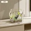 Acuario de PET personalizado, pecera transparente de oficina para tortugas, tanque ecológico pequeño de plástico irrompible y resistente a roturas para escritorio para paisajismo acuático