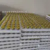 Botella de Vidrio Hexagonal de 45 ml para Miel, Mermelada, Conservas, Degustación, Empaque Pequeño de Miel - Venta al por Mayor del Fabricante