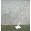 Taibao Galhos Secos Galhos Secos Tronco Ornamento Branco de Desejo Tronco de Árvore Seca Madeira Maciça Forma Natural Árvore Árvore Falsa