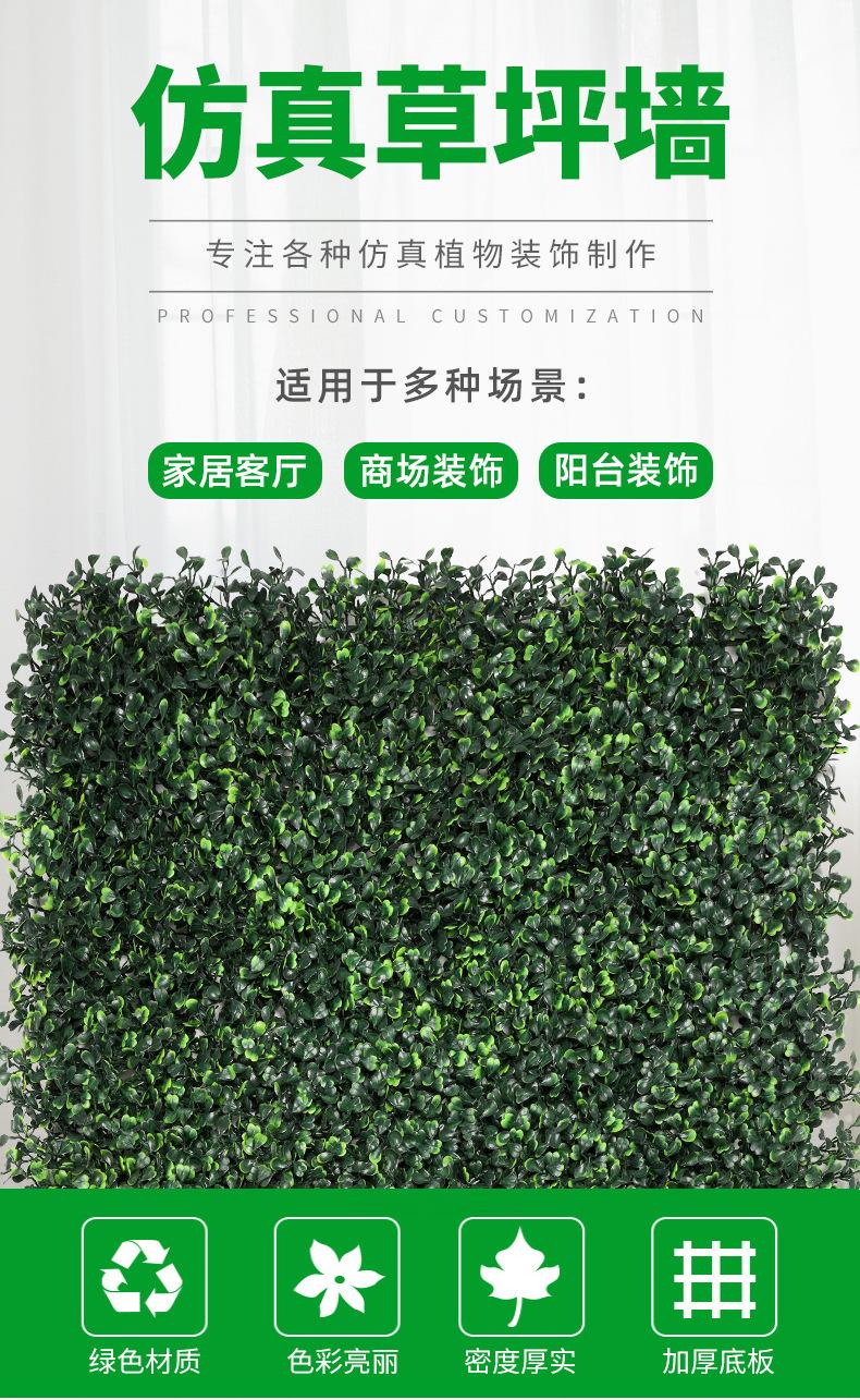 AG004新详情_01.jpg