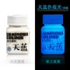 Pintura que brilla en la oscuridad de 60 ml, pintura acrílica luminosa para arte, pintura fluorescente para modelos, portátil, en un recipiente pequeño, impermeable, para equipo de pesca, pintura que brilla en la oscuridad