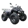 Vehículo de Nieve Todoterreno para Playa y Todoterreno de Cuatro Ruedas Toro Grande y Pequeño Atv125Cc-250Cc