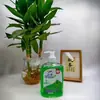Desinfectante de Manos con Fragancia Limpiadora Dingdang Manhua 500ml Venta al por Mayor para el Hogar Desinfectante de Manos Espumoso de Fragancia Duradera