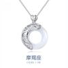 Collar de Mujer Plata 925 Celebridad Cibernética Cadena Clavícula Joyería Doce Constelaciones Simple Elegante Estilo Coreano Personalidad Colgante Moderno