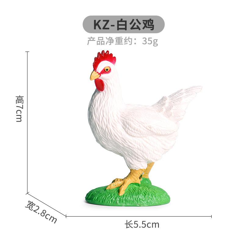 KZ-白公鸡