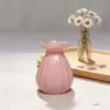 Mini Jarrón Pequeño de Vidrio de Color Estilo Ins Vidrio Hidroponía Rosa Jarrón Pequeño de Escritorio Adorno Flor Seca Arreglo Floral