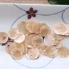 Colgante de Disco con Concha de Espejo de Colores Lámpara de Cortina Delgada Campana de Viento Decoración Bolsas Pendientes Accesorios Materiales Hechos a Mano