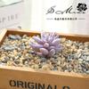 Flores Falsas, Suculentas, Gadgets Criativos para Paisagismo, Suprimentos para Parede de Plantas, Plantas Verdes Artificiais, Fornecimento Direto da Fábrica, Dropshipping Transfronteiriço