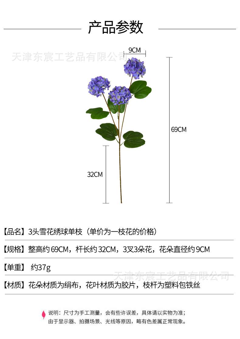 详情_01.png