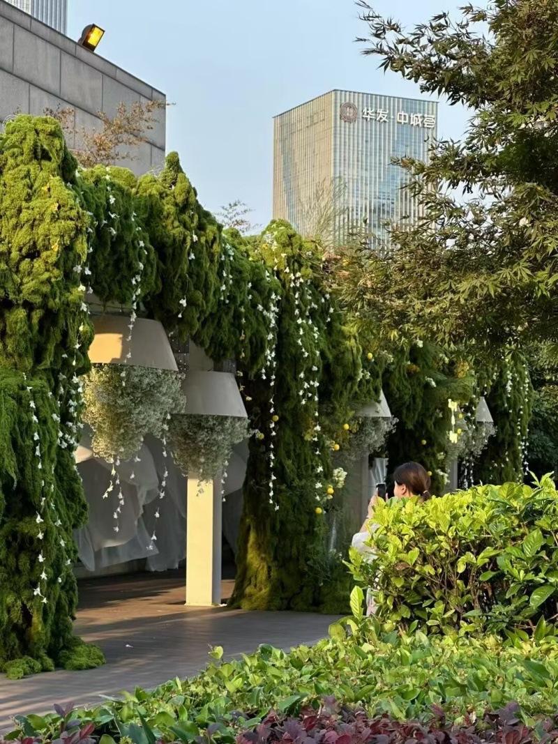 DB3DE5BDCCCF9DAA1F37A78D8F62DB