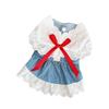 Ropa para mascotas de primavera y verano encaje vestido de princesa de mezclilla oso perro pequeño falda para perro venta al por mayor transfronteriza ropa para gatos