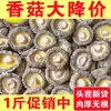 Hongos Shiitake Secos Sin Desecante, de Carne Gruesa, Sin Raíz, Champiñones Frescos de Granja, Flores de Cordyceps al por Mayor