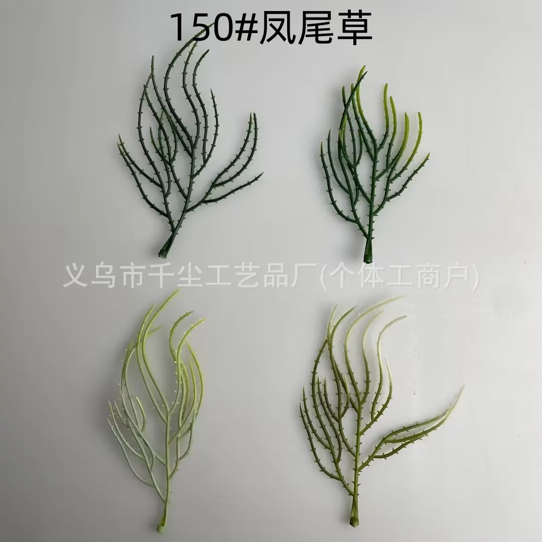 150#凤尾草.jpg