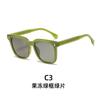 Gafas de sol de moda transfronteriza europea y americana, gafas de sol polarizadas de moda para mujer con montura grande, gafas de sol de placa para vacaciones de ocio al por mayor