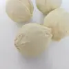 Personalizar Bolas de Mazorca de Maíz Natural de Venta Caliente Transfronteriza, Bolas Masticables Comestibles Naturales para Mascotas Pequeñas, Manualidades de Frutas Secas Naturales