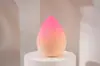 Esponja de Maquillaje con Degradado Que No Absorbe Polvo, Suave y de Doble Uso para Aplicación Seca y Húmeda, Herramienta de Esponja de Maquillaje Profesional, Portátil