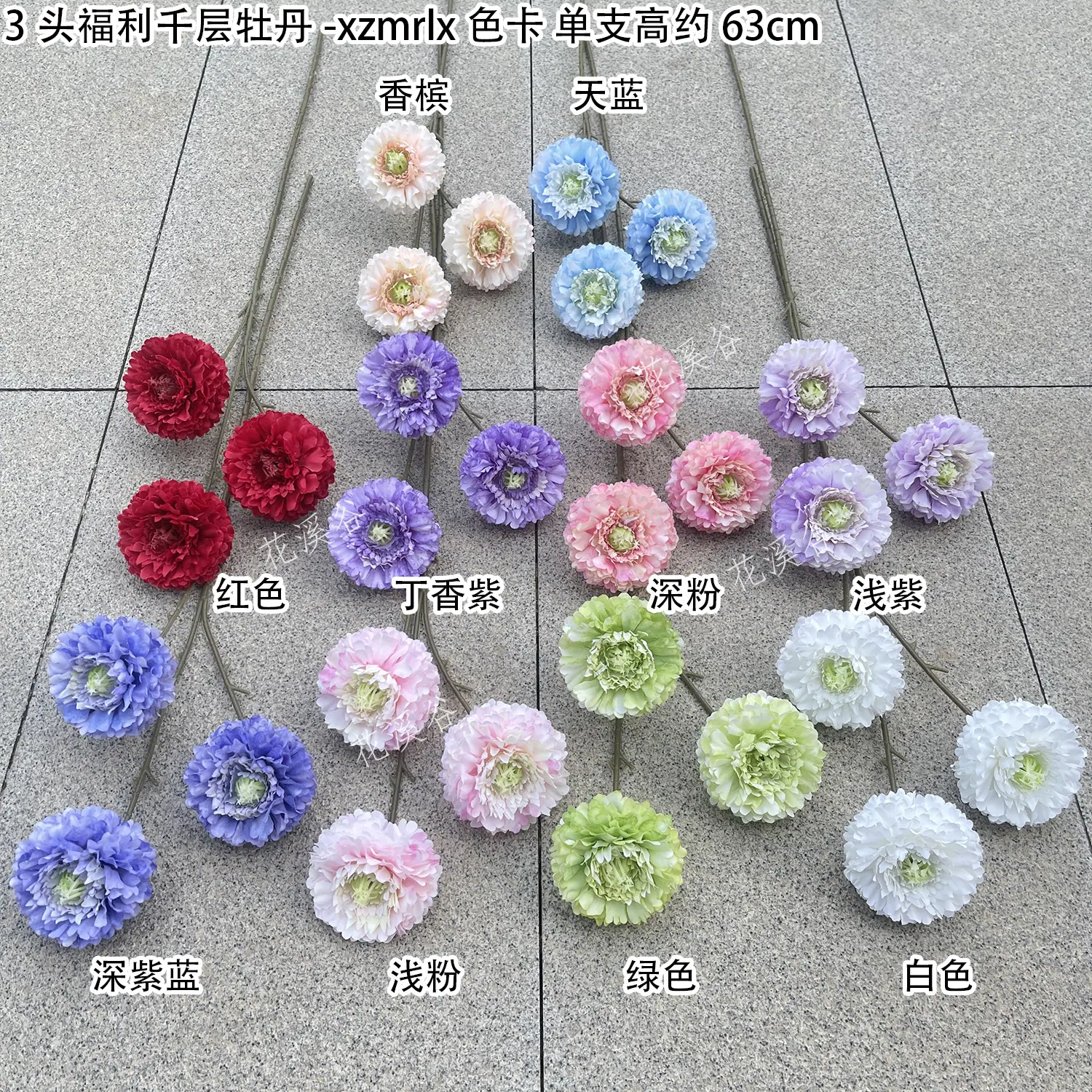3头福利千层牡丹-xzmrlx 色卡  花溪谷.jpg