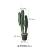 Cacto Artificial Planta Verde Decorativa em Vaso Biónica Tropical Desértica Pacote de Paisagismo Combinação Falso Cactus