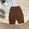 Pantalones de Bebé Otoño Nuevo Estilo Coreano Unisex Algodón Puro Casual Pantalones Zanahoria Atuendo de Primavera para Niños Pequeños Versátiles Pantalones Linterna
