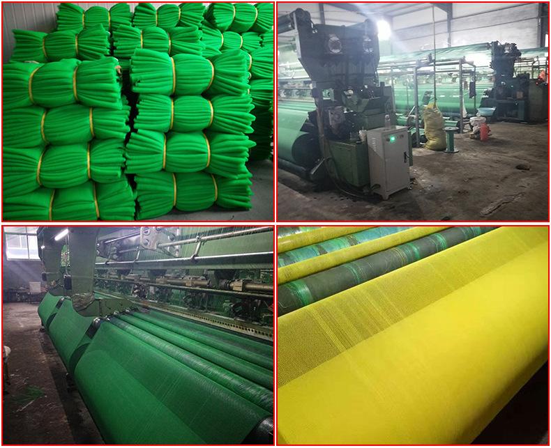 3721531559_480074645