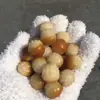 Fornecimento Direto da Fábrica de Raiz de Bodhi Garra de Gato Lótus Contas Soltas DIY, Acessórios Bodhi Artesanais Esculpidos Finamente Despertar do Leão