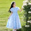 Vestido de Verano para Niñas 2026 Nuevo Estilo Vestido Floral Infantil Estilo Verano Chifón Delgado Largo para Playa Niñas Verano