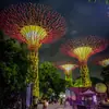 Luces de Paisaje Culturales y Turísticas, Luces de Paisaje LED Árbol de la Vida, Festival de Luces a Gran Escala, Luces Decorativas Coloridas, Luces de Paisaje Personalizadas