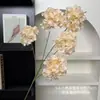 Simulación 5 Cabezas Hortensia Ceremonia de Boda Decoración Salón de Bodas Paisajismo Materiales Florales Adorno Decoración Sala de Estar Hortensia