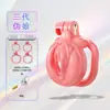 Castidad SM, estilo jaula de pájaro, a prueba de escapes, con cerradura de llave, para hombres, un juguete sexual sensual para parejas, utilizado para juegos previos, para exportación y ventas transfronterizas