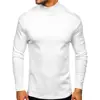 Camiseta Masculina Europeia e Americana de Outono e Inverno Espessa Quente Gola Alta Manga Longa Camiseta Básica Masculina de Comércio Exterior Veludo Alemão Gola Meio Alta Masculina