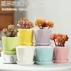 Vaso de Flor Suculenta Cerâmica Preço Especial Liquidação Esmaltado Tamanhos Grande e Pequeno Simples Pastoral Mesa Vasos de Barro Respirável Plantas Leede Estoque
