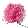 Gipsofila Flor Eterna Ramo de Flores Secas Venta Directa de Fábrica de Yunnan Gipsofila Flor Eterna Hecho a Mano DIY Flores al por Mayor