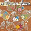 Marcadores de Página com Flores Secas, Materiais DIY Feitos à Mão, Frascos Transparentes para Espécimes, Primavera em um Frasco, Flores Prensadas CaseirasT501