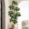 Simulación Planta Verde Pata de Pato Madera Lujo Ligero de Alta Gama Interior Sala de Estar Planta Verde Artificial en Maceta Planta Biónica Adornos Decorativos de Piso